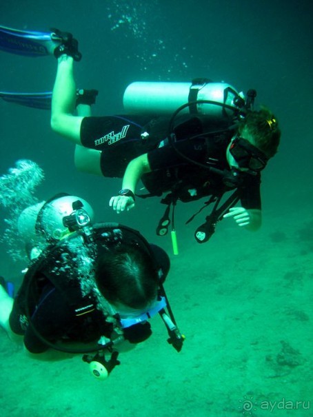 Альбом отзыва "Вас манят приключения и романтика? Нам по пути!"