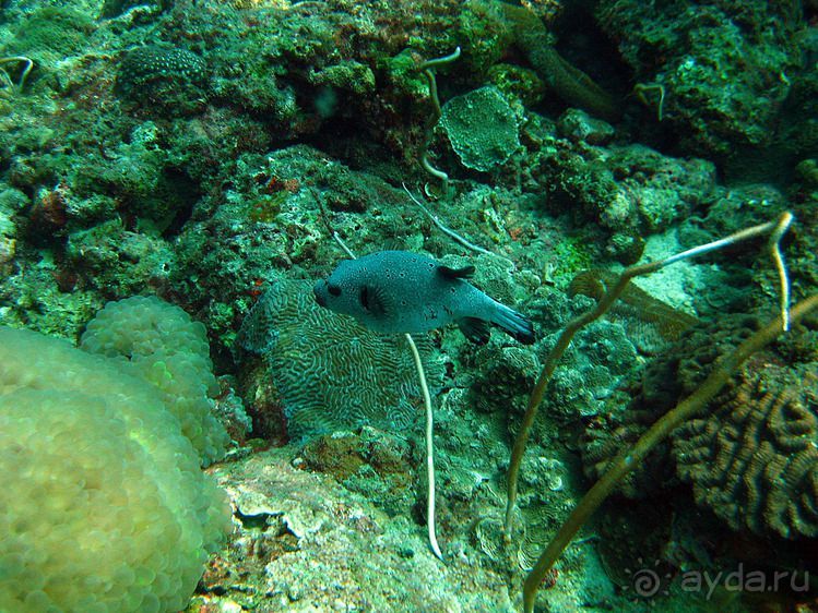 Альбом отзыва "Вас манят приключения и романтика? Нам по пути!"