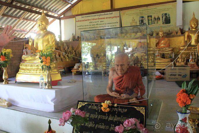 Альбом отзыва "Вас манят приключения и романтика? Нам по пути!"