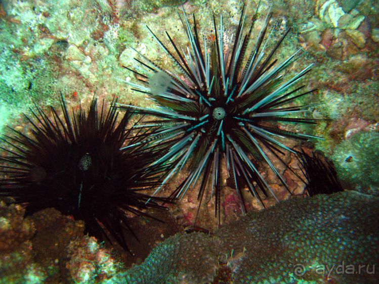 Альбом отзыва "Вас манят приключения и романтика? Нам по пути!"