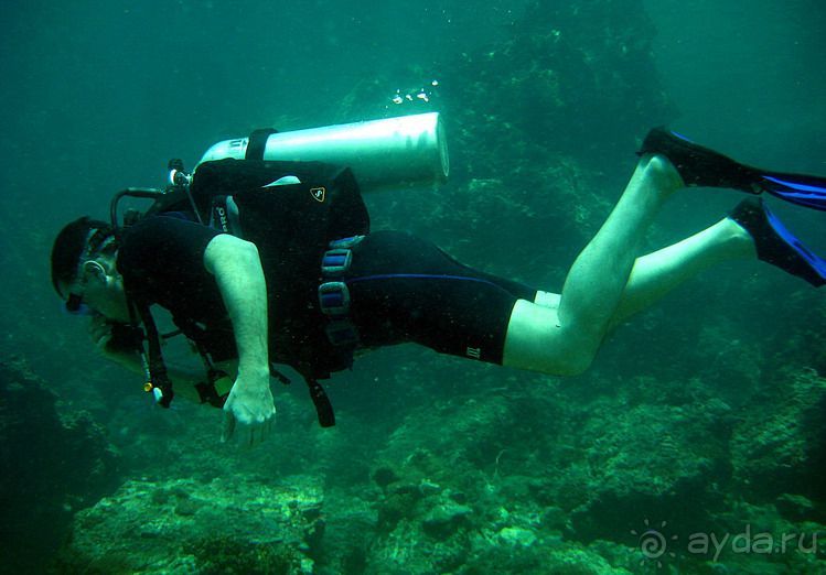 Альбом отзыва "Вас манят приключения и романтика? Нам по пути!"