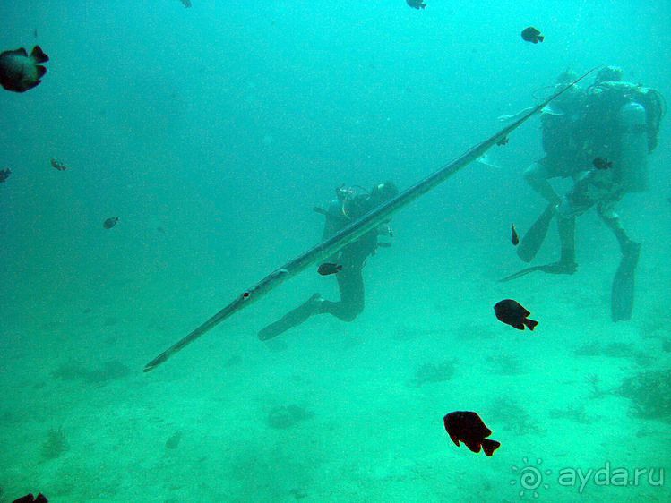 Альбом отзыва "Вас манят приключения и романтика? Нам по пути!"