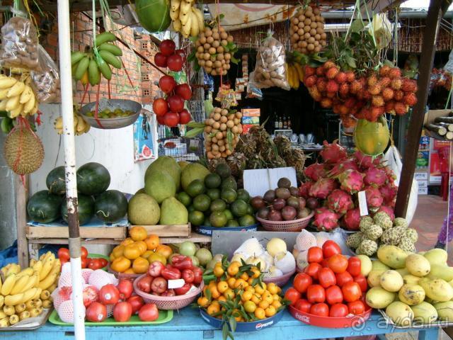 фото Seahorse Resort