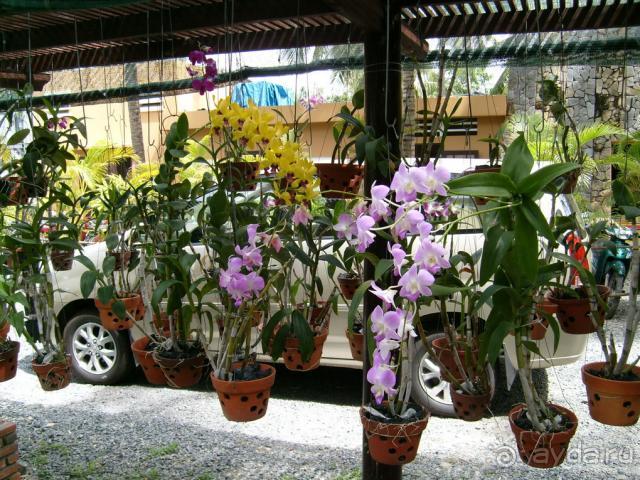 фото Seahorse Resort