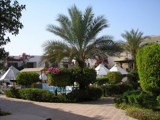 Территория отеля Creative Mexicana Resort утопает в зелени