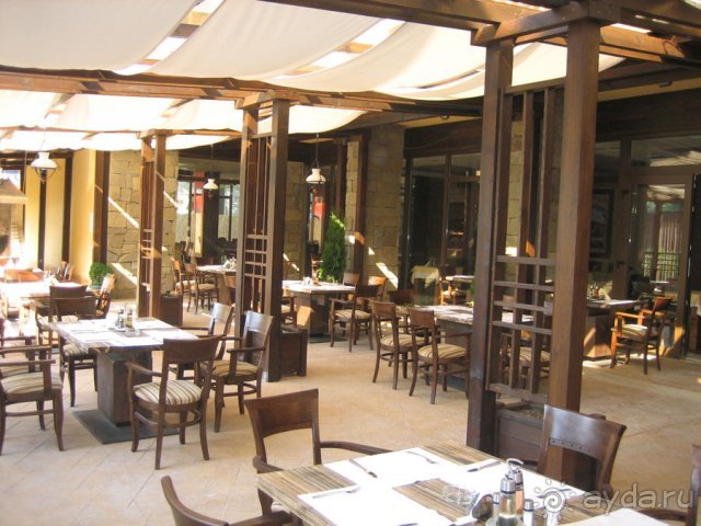 фото Гардения