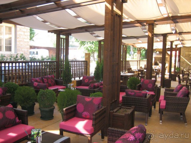 фото Гардения