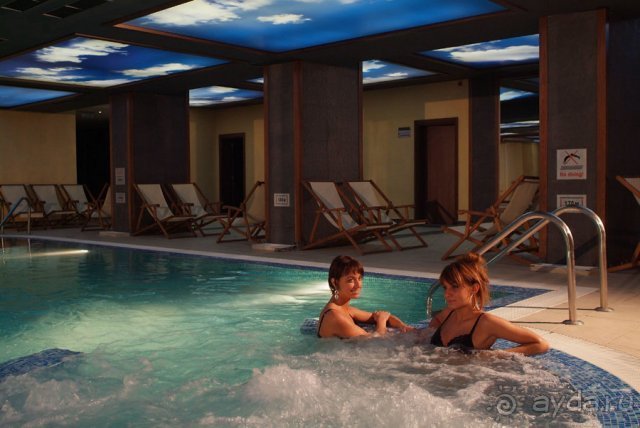 фото Гардения