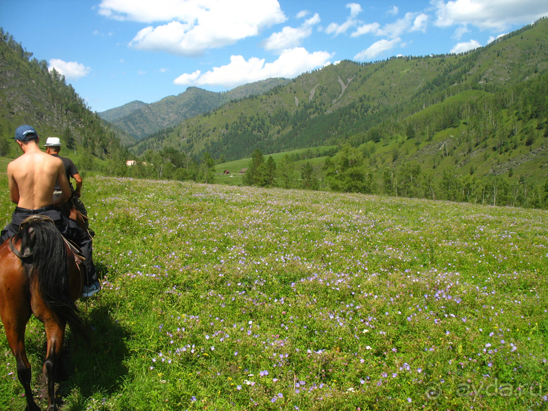 Скифский Алтай.