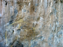 Скифский Алтай.