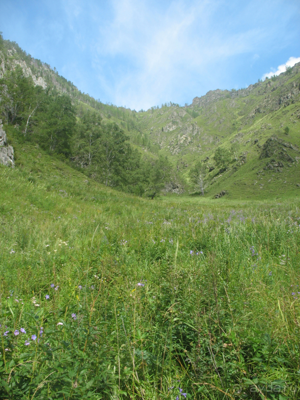 Скифский Алтай.