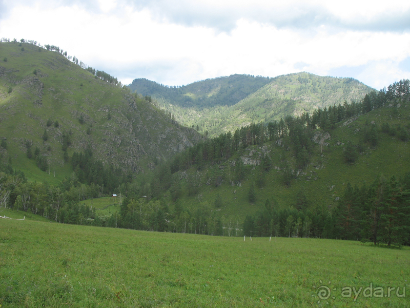 Альбом истории "Скифский Алтай."