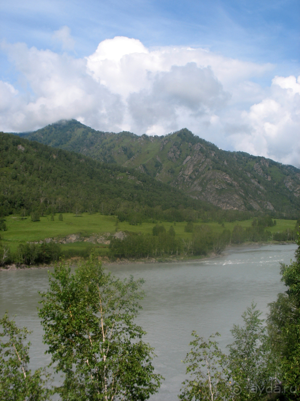 Скифский Алтай.