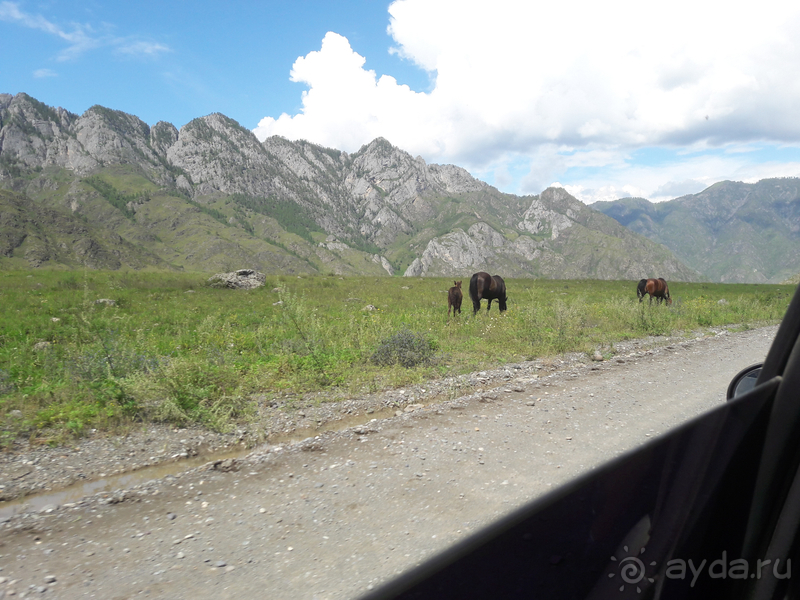 Скифский Алтай.