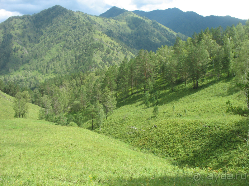 Скифский Алтай.