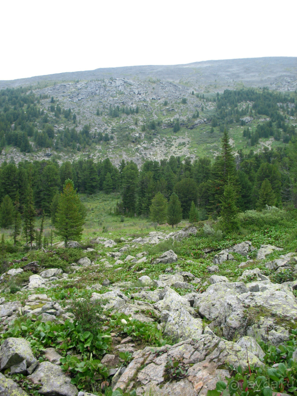 Скифский Алтай.