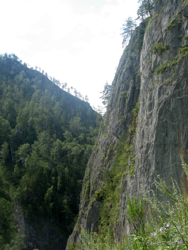 Скифский Алтай.