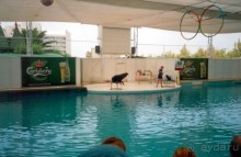 Турецкие экскурсии