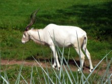 Очень советую посетить. Особенно с детьми!