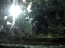 Очень советую посетить. Особенно с детьми!