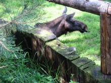 Очень советую посетить. Особенно с детьми!