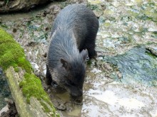 Очень советую посетить. Особенно с детьми!