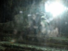 Очень советую посетить. Особенно с детьми!