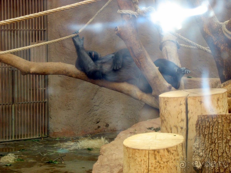 Очень советую посетить. Особенно с детьми!