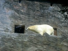 Очень советую посетить. Особенно с детьми!