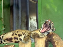 Очень советую посетить. Особенно с детьми!