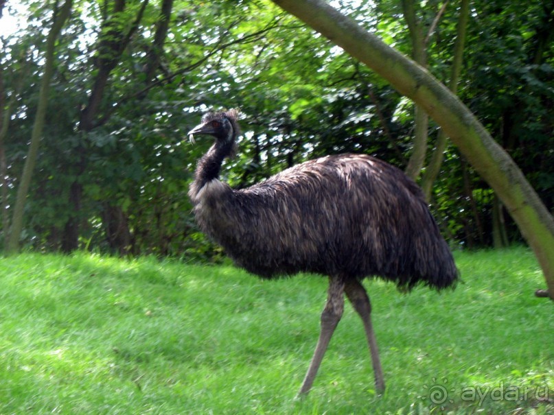 Очень советую посетить. Особенно с детьми!