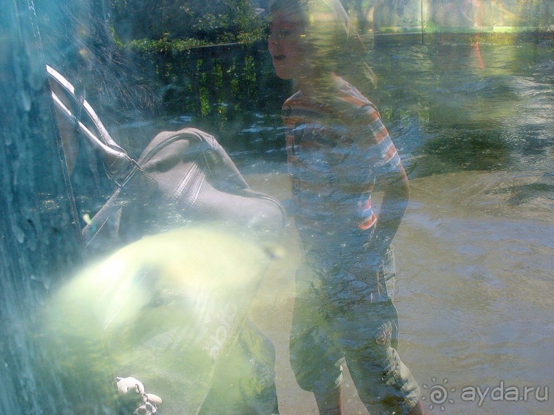 Очень советую посетить. Особенно с детьми!