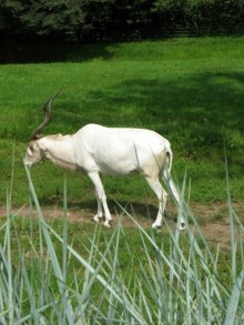 Очень советую посетить. Особенно с детьми!