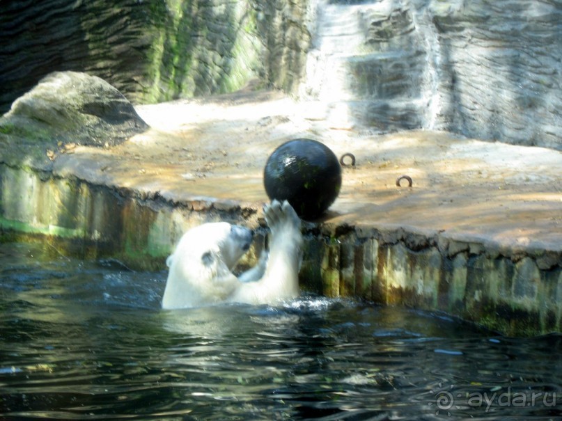 Очень советую посетить. Особенно с детьми!