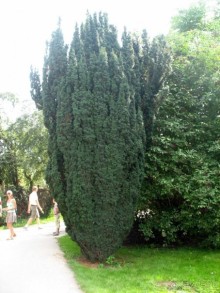 Очень советую посетить. Особенно с детьми!