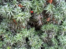 Очень советую посетить. Особенно с детьми!