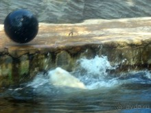 Очень советую посетить. Особенно с детьми!