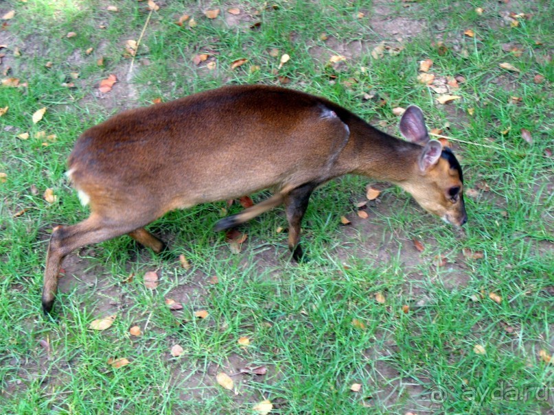 Очень советую посетить. Особенно с детьми!
