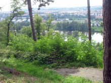 Очень советую посетить. Особенно с детьми!