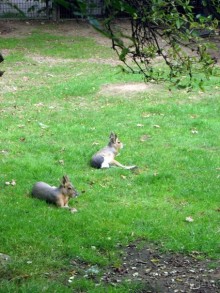 Очень советую посетить. Особенно с детьми!
