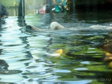 Очень советую посетить. Особенно с детьми!