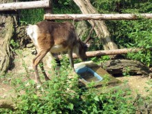 Очень советую посетить. Особенно с детьми!