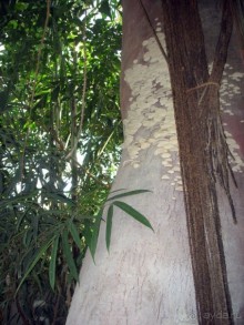 Очень советую посетить. Особенно с детьми!