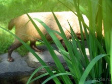 Очень советую посетить. Особенно с детьми!