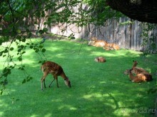 Очень советую посетить. Особенно с детьми!