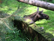 Очень советую посетить. Особенно с детьми!