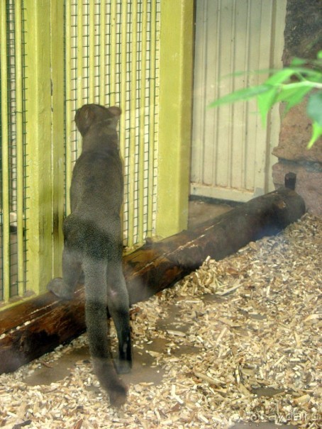 Очень советую посетить. Особенно с детьми!