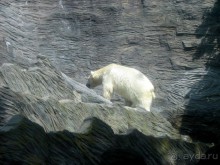 Очень советую посетить. Особенно с детьми!