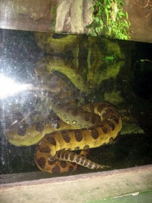 Очень советую посетить. Особенно с детьми!