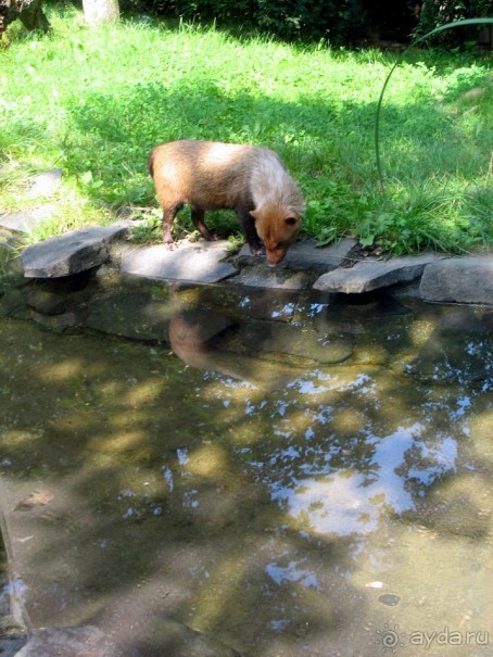 Очень советую посетить. Особенно с детьми!